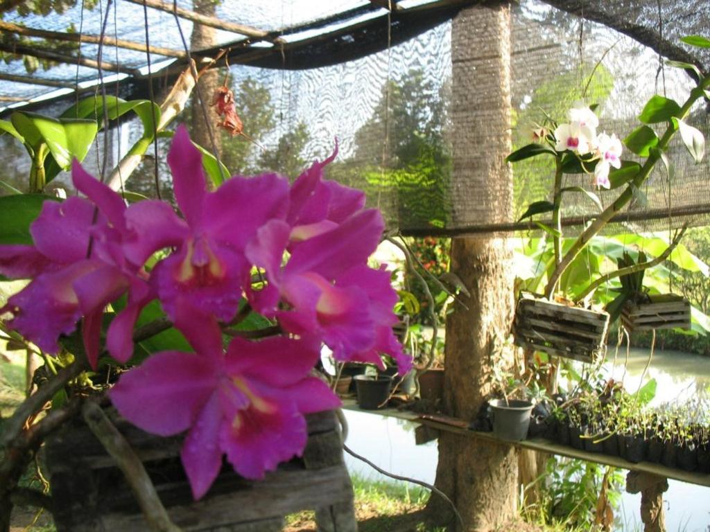 班莱汀泰式加姆生态小屋 湄林 外观 照片